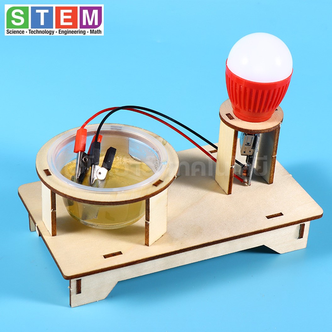 T-M231 ชุดประกอบไม้ ระบบพลังงานน้ำเกลือ Salt Water Generator Wooden Kit STEM Education ของเล่นเสริมทักษะ เสริมพัฒนาการ การเกิดออกซิเดชั่น Oxidation Reaction