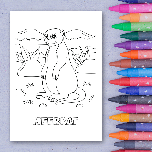 สมุดระบายสีสัตว์ป่า Safari Animals Coloring Book