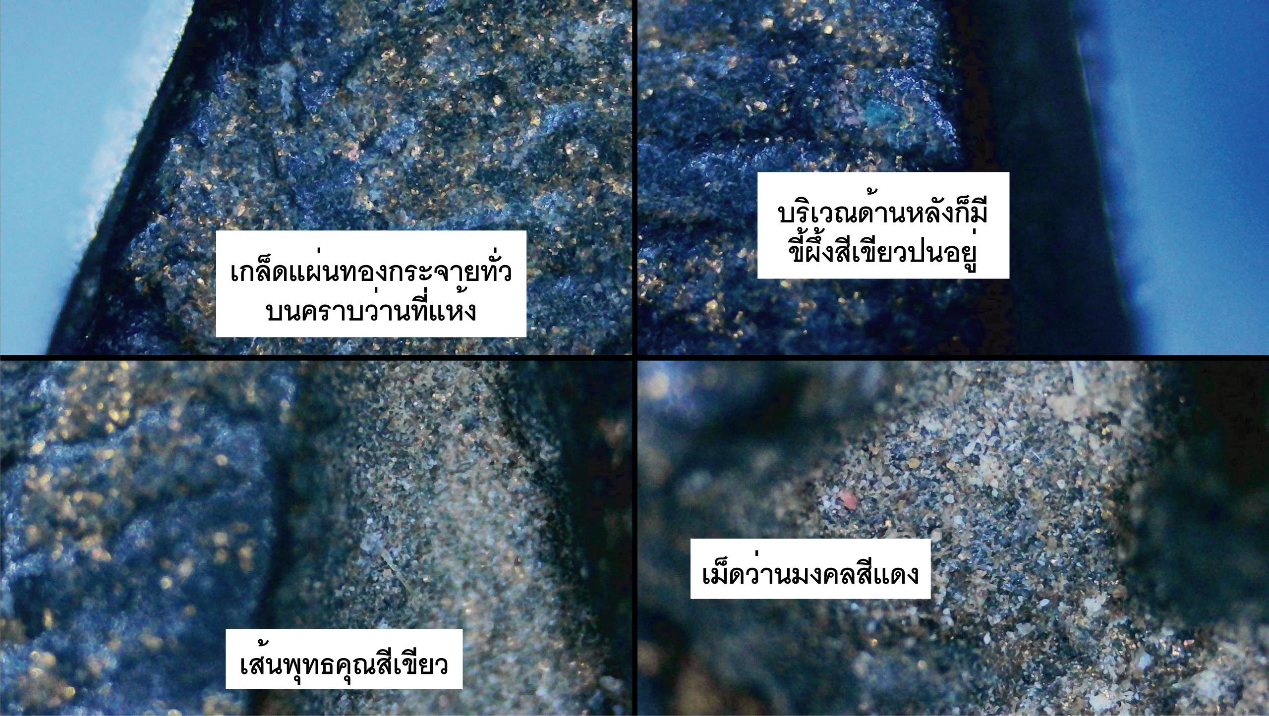 พระหลวงปู่ทวดหลังยันต์ เนื้อผงใบลาน หลวงพ่อทาบ วัดกระบกขึ้นผึ้ง ปี 2505