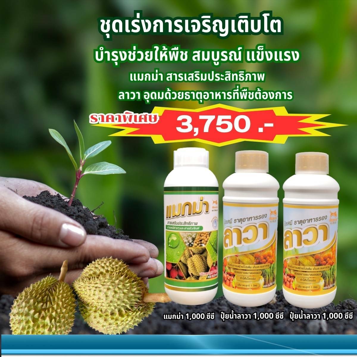 ชุดจัมโบ้แมกม่าขนาดบรรจุ1000cc.1 ขวด+ปุ๋ยน้ำลาวาขนาดบรรจุ1000cc.2ขวด