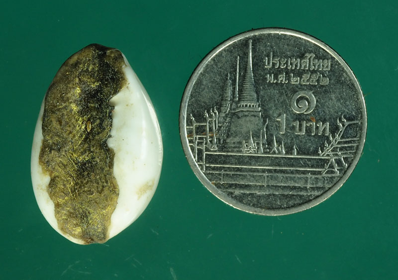 *28819 เบี้ยแก้ ไม่ทราบที่และปีสร้าง 12