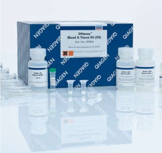 69504 DNeasy Blood & Tissue Kit (50)