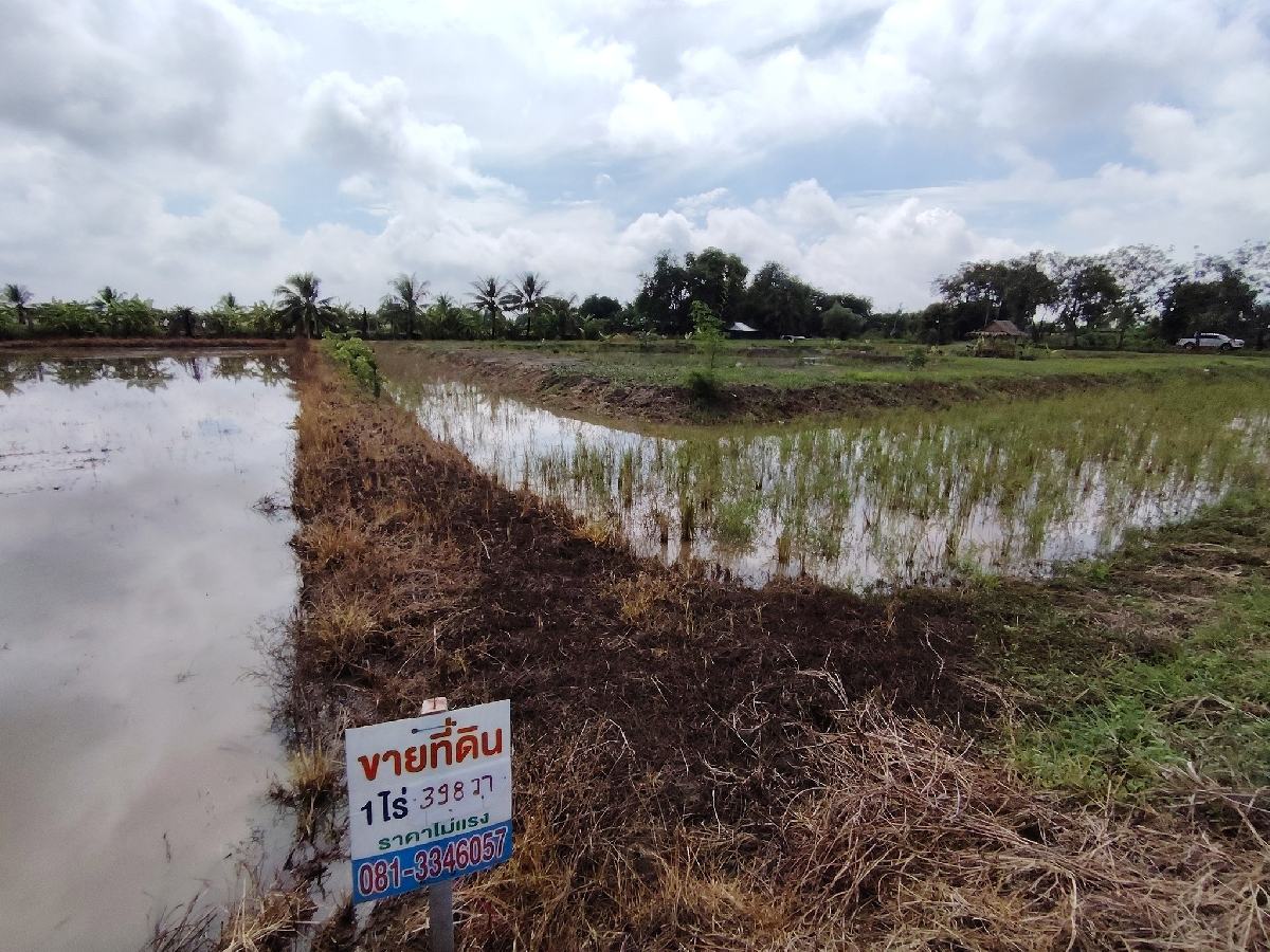 ขายที่ดิน ราชสาส์น 2 ไร่ | ติดถนนคอนกรีต หน้ากว้าง 46 ม. | เจ้าของขายเอง