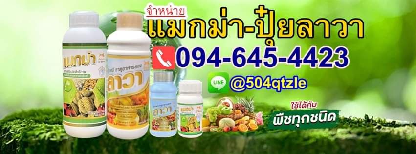 แมกม่าลาวา เซนเตอร์ช็อป
