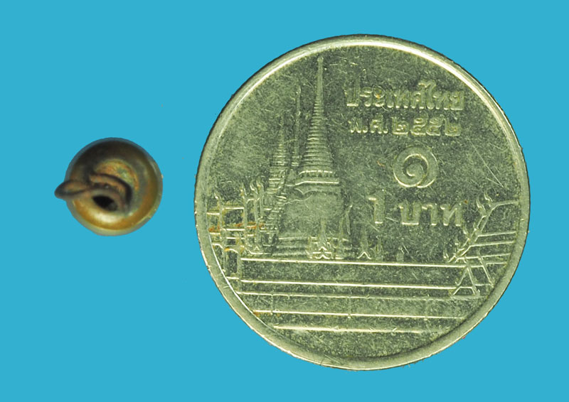 *33355 ตะกรุดหัวลูกปืน หลวงพ่อกวย วัดโฆษิตราราม ชัยนาท 27