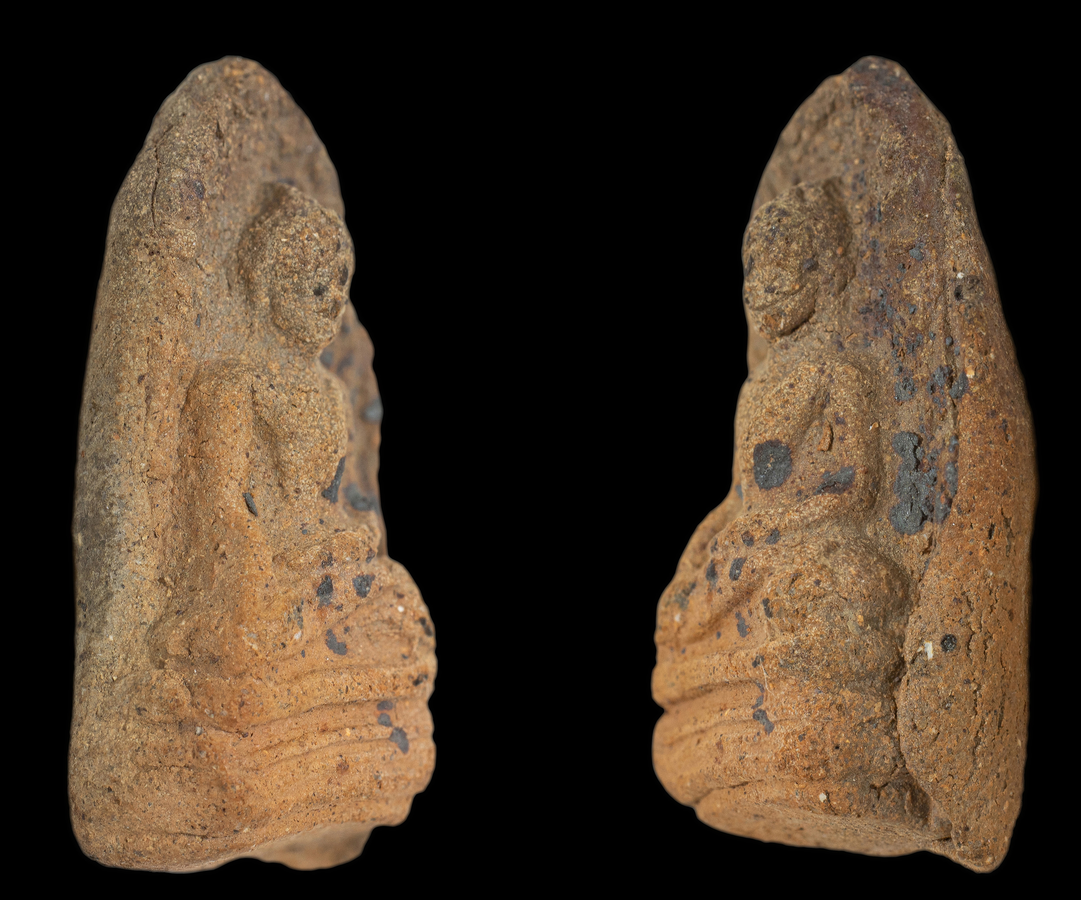 พระรอดพิมพ์ใหญ่ เนื้อดินผสมว่าน หลังยันต์ หลวงพ่อกวย ช่วงปี 2500