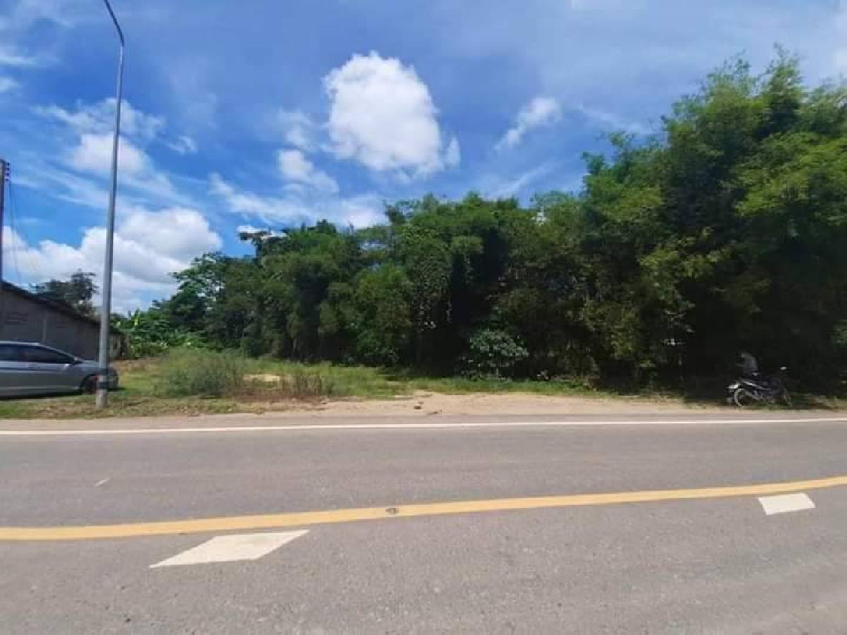 ขายที่ดินสนามชัยเขต 183 ตรว. ใกล้วัดบางมะเฟือง | เจ้าของขายเอง | ที่ดินฉะเชิงเทรา ทำเลดี ราคาถูก