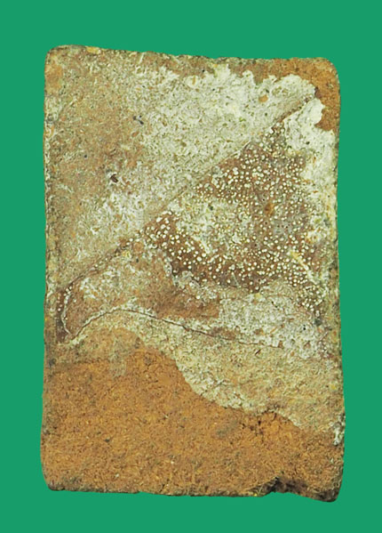 *33512 พระเนื้อดินผสมผง เก่าไม่ทราบที่และปีสร้าง 9.1