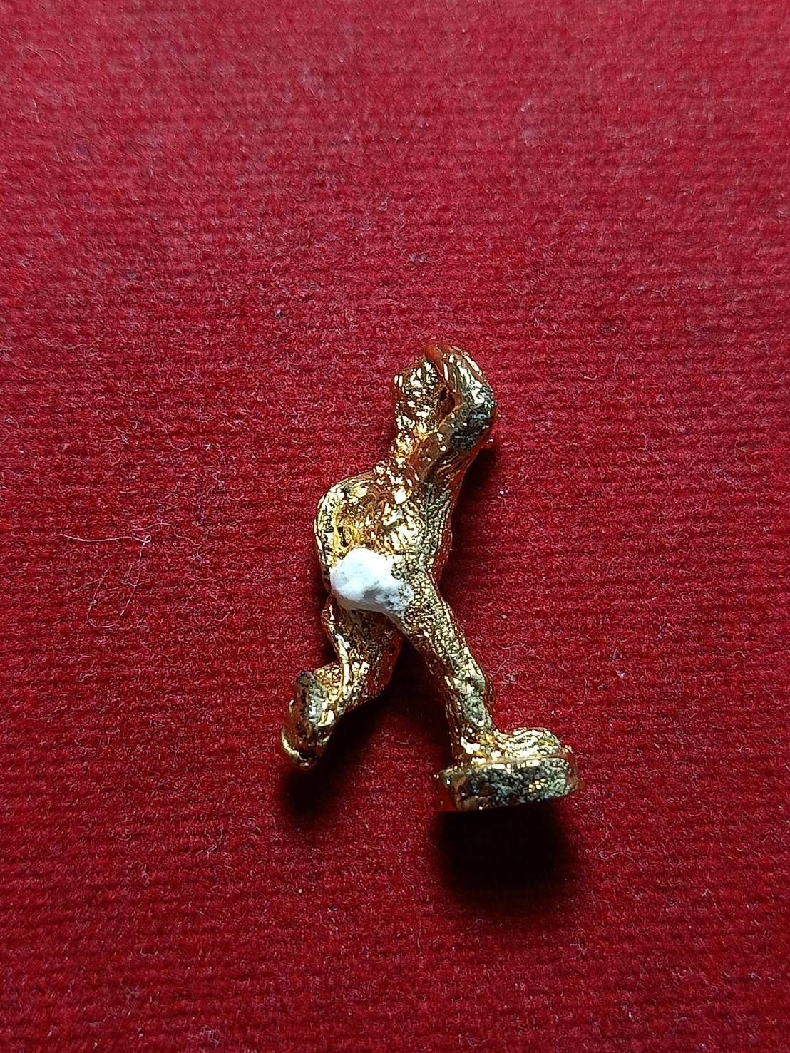 ลิงหลวงพ่อเปลี้ย วัดชอนสารเดช จ.ลพบุรี (SKU-05092)