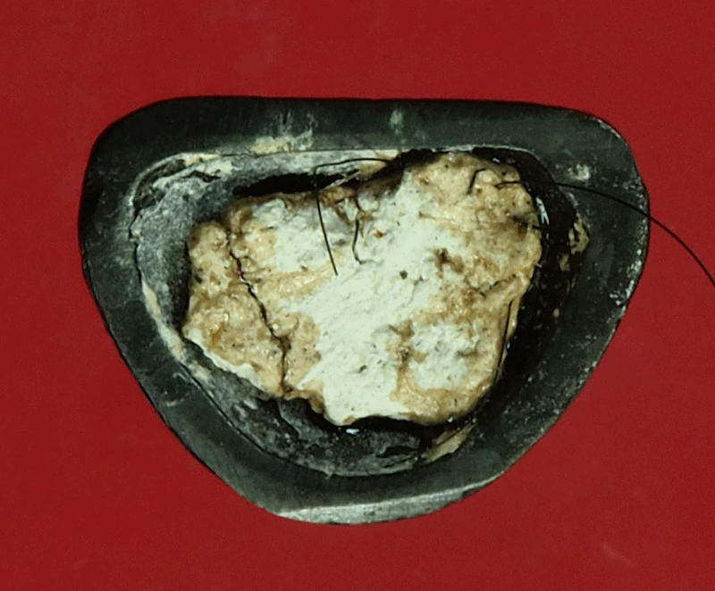 *27957 รูปหล่อหลวงพ่อสวง วัดเขาพระ ลพบุรี ฐานอุดผงเกศา 8