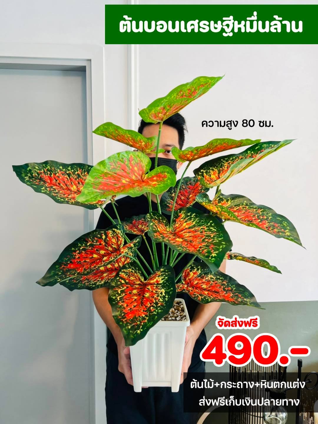 ต้นไม้ปลอม ขนาดความสูง 80 ซม. กระถางสี่เหลี่ยม พร้อมหินตกแต่ง