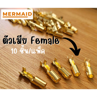 หางปลาทองเหลือง กลม 4 มม. ตัวเมีย/ตัวผู้ [10ชิ้น/แพ็ค]