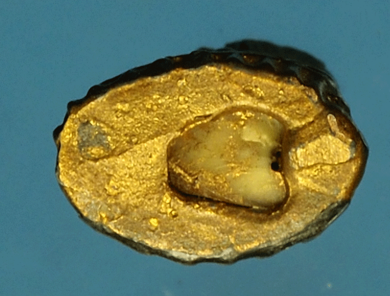 *27812 พระชัยวัฒน์ เนื่อชินตะกั่ว ลงบรอนซ์ ฝังเขี้ยวหมาป่า ไม่ทราบที่และปีสร้าง 13