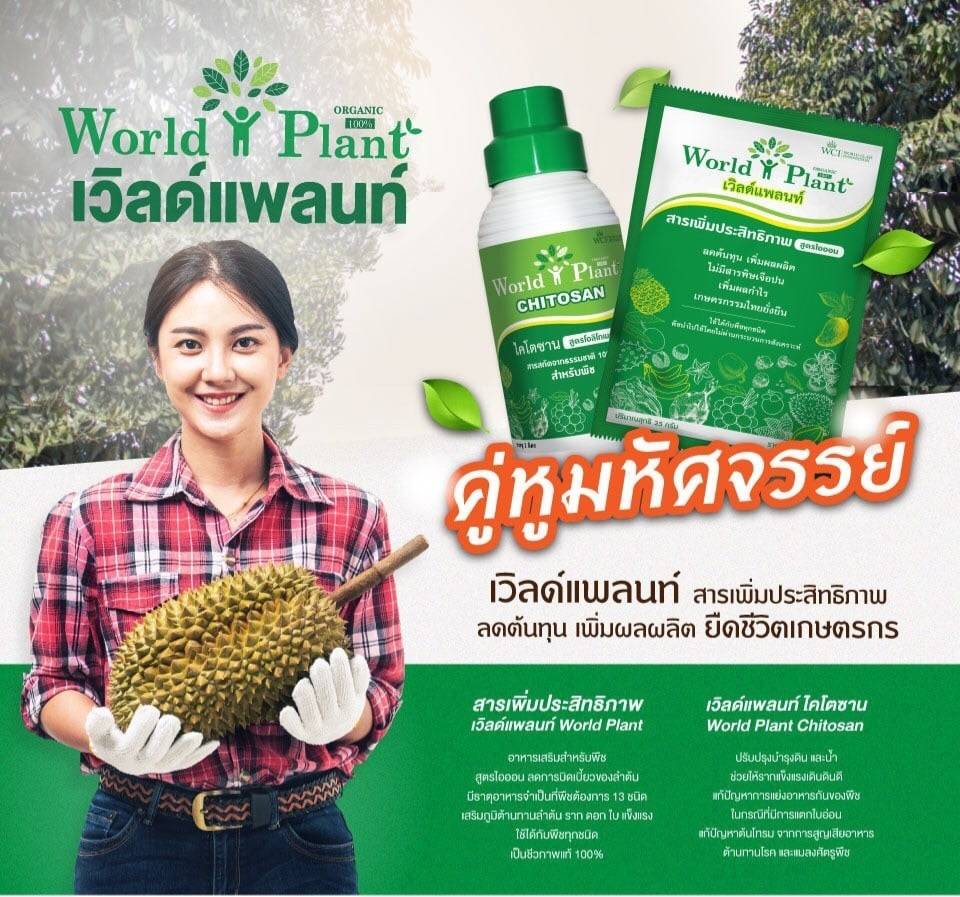 สวนทุเรียนใช้เวิลด์แพลนท์