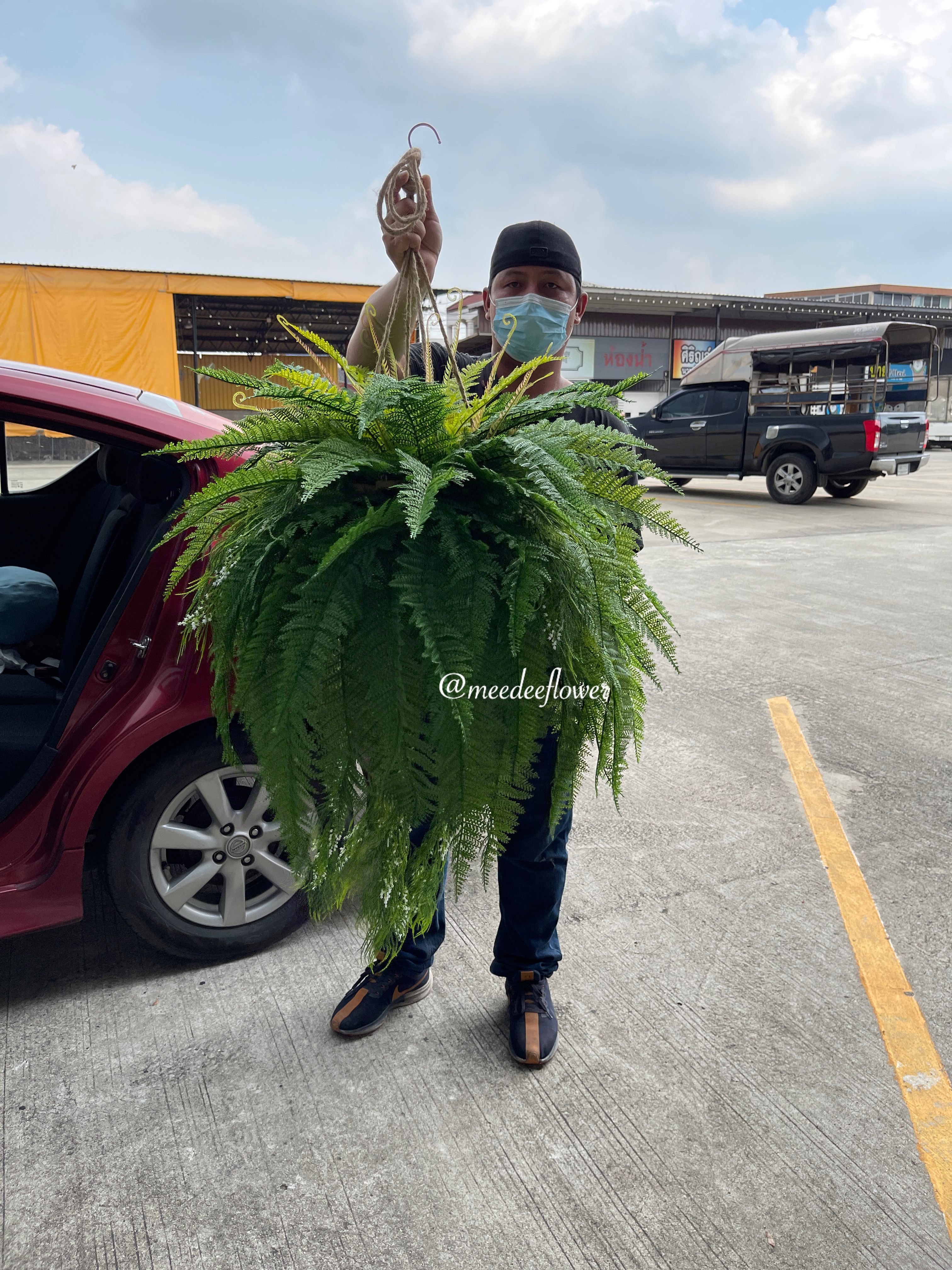 ต้นเฟิร์นปลอมแบบแขวน กระเช้าเฟิร์นปลอมเสมือนจริง งานเกรดพรีเมี่ยม ราคาปลีก-ส่ง