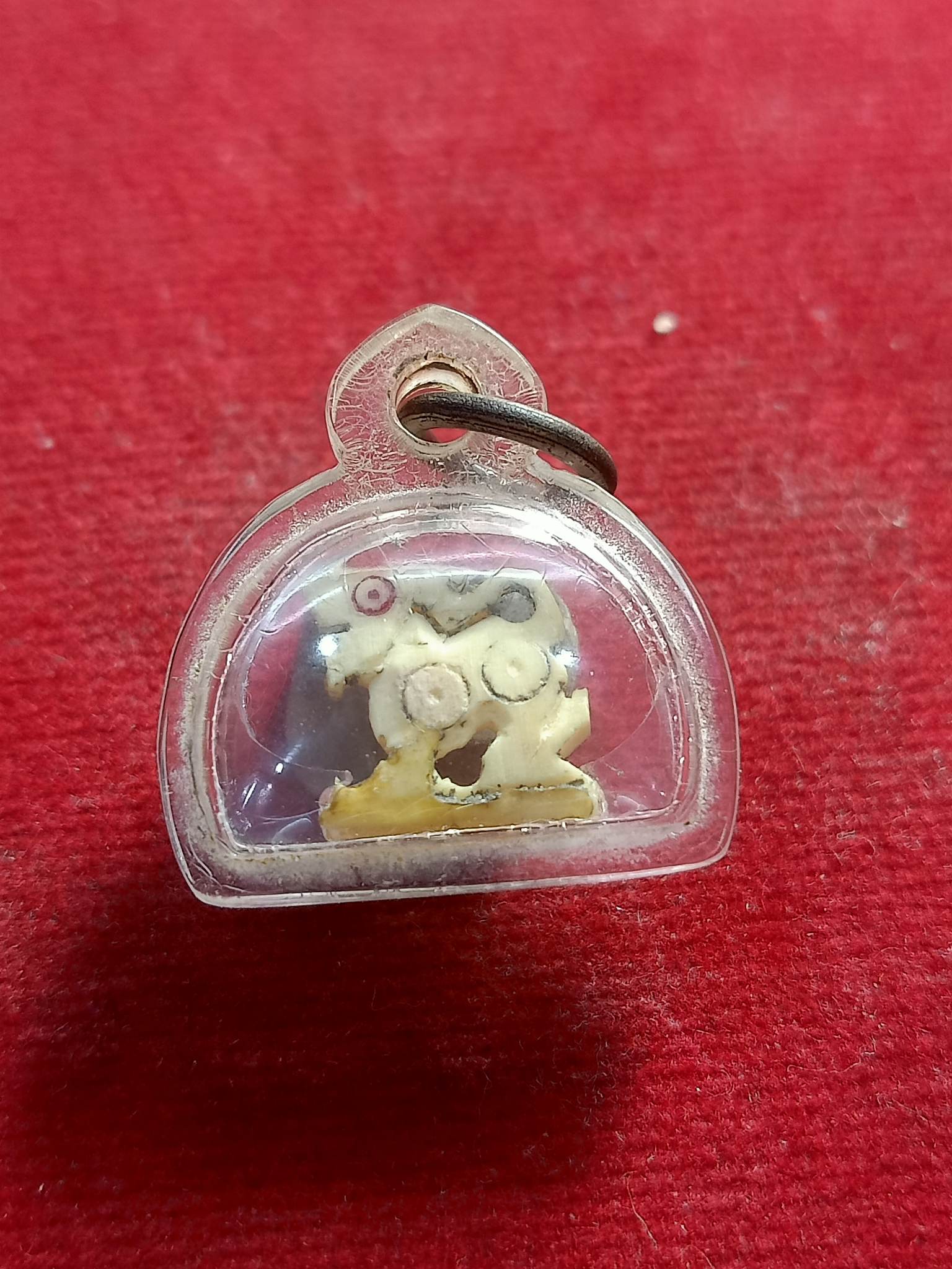สิงห์งาแกะ ขนาด 1.5ซม. หลวงพ่อมุ่ย วัดดอนไร่ จ.สุพรรณบุรี (SKU-00781)