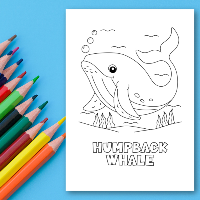 สมุดระบายสีสัตว์โลกใต้น้ำ Sealife Animals Coloring Book