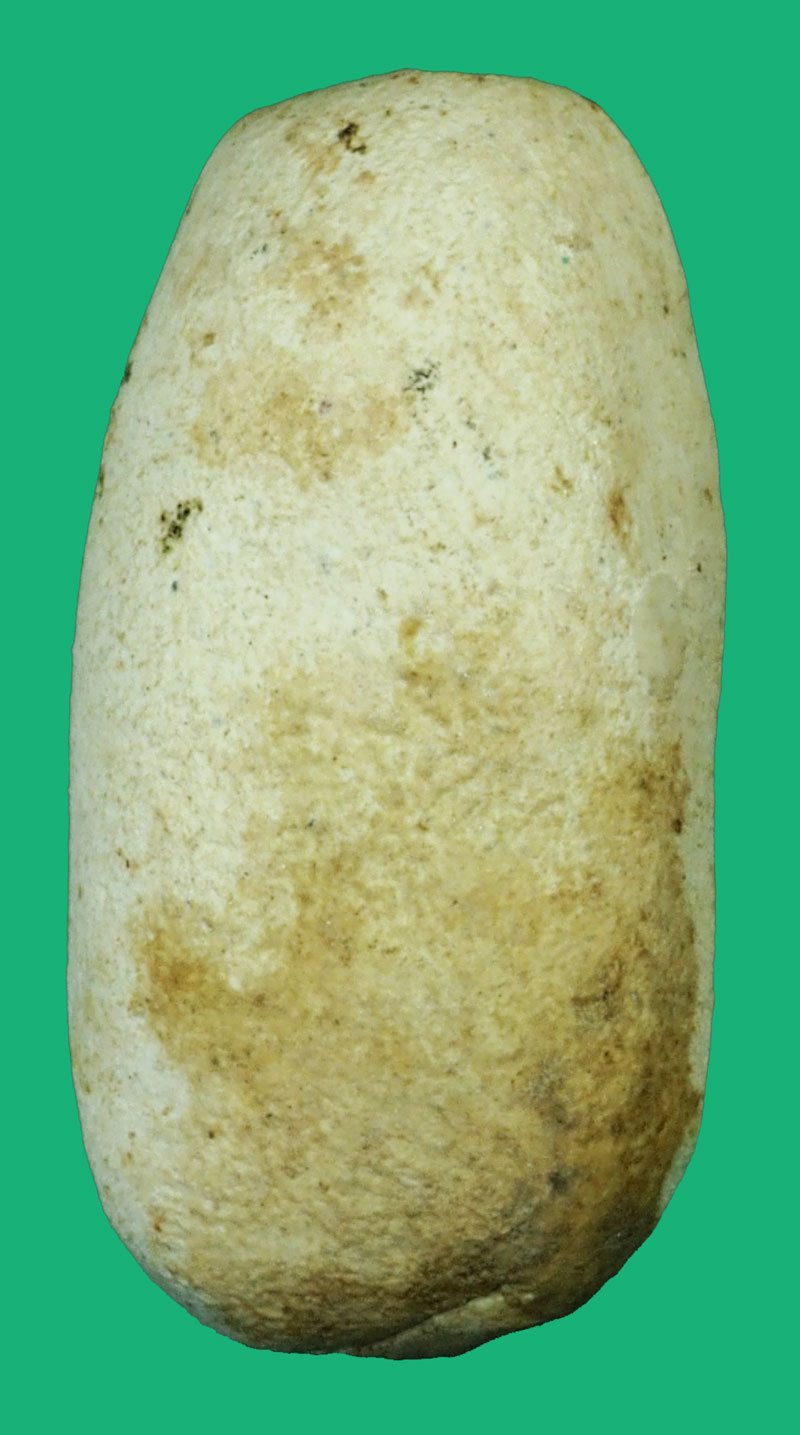 *36551 พระวัดราชสิทธา(วัดพลับ) พิมพ์วันทามิ ปั 2516 เนื้อผง(หลวงปู่โต๊ะ วัดประดู่ฉิมพลี ร่วมปลุกเสก) 9