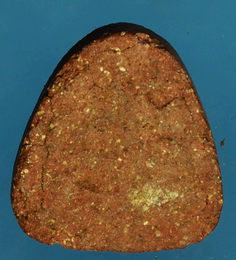 ขายแล้ว*27617 พระปิดตา หลวงปู่นาค วัดระฆัง เนื้อผงแดง 6