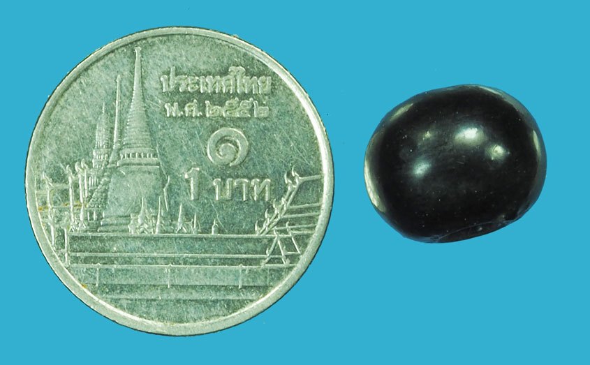 *38369 เม็ดปะคำ ผงยา หลวงปู่เพิ่ม วัดกลางบางแก้ว นครปฐม 12