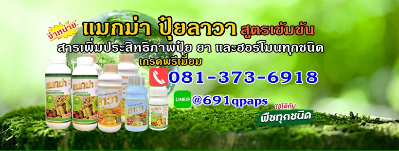 ศูนย์จำหน่ายปุ๋ยลาวา-แมกม่า (Lawa-Maxma)