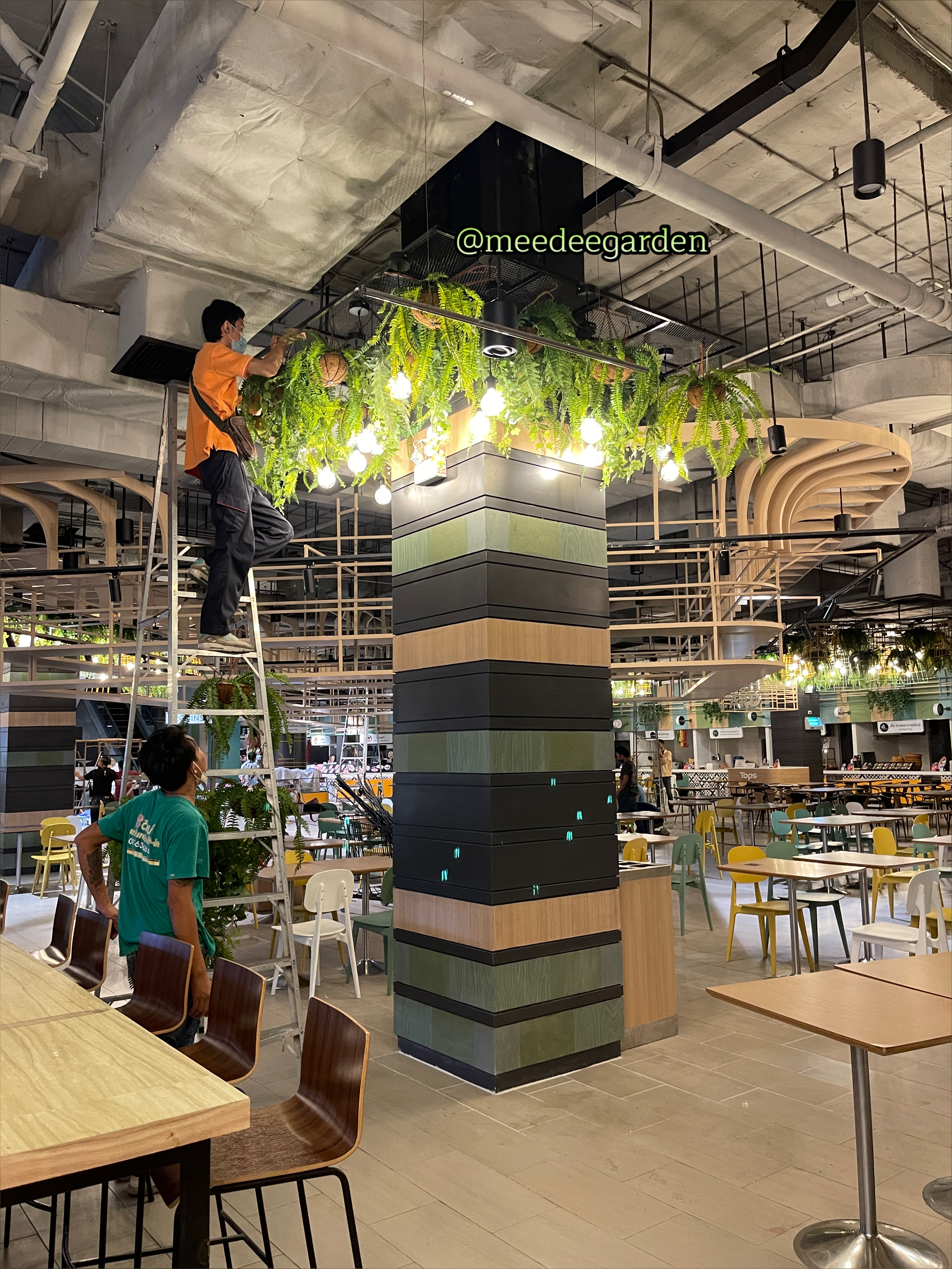 ต้นเฟิร์นปลอมแบบแขวน กระเช้าเฟิร์นปลอมเสมือนจริง งานเกรดพรีเมี่ยม ราคาปลีก-ส่ง