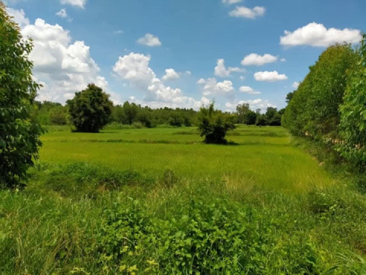 ขายที่ดินเขาหินซ้อน 5 ไร่ ติดถนนลาดยาง ใกล้ถนน 304 | พนมสารคาม ฉะเชิงเทรา | เจ้าของขายเอง