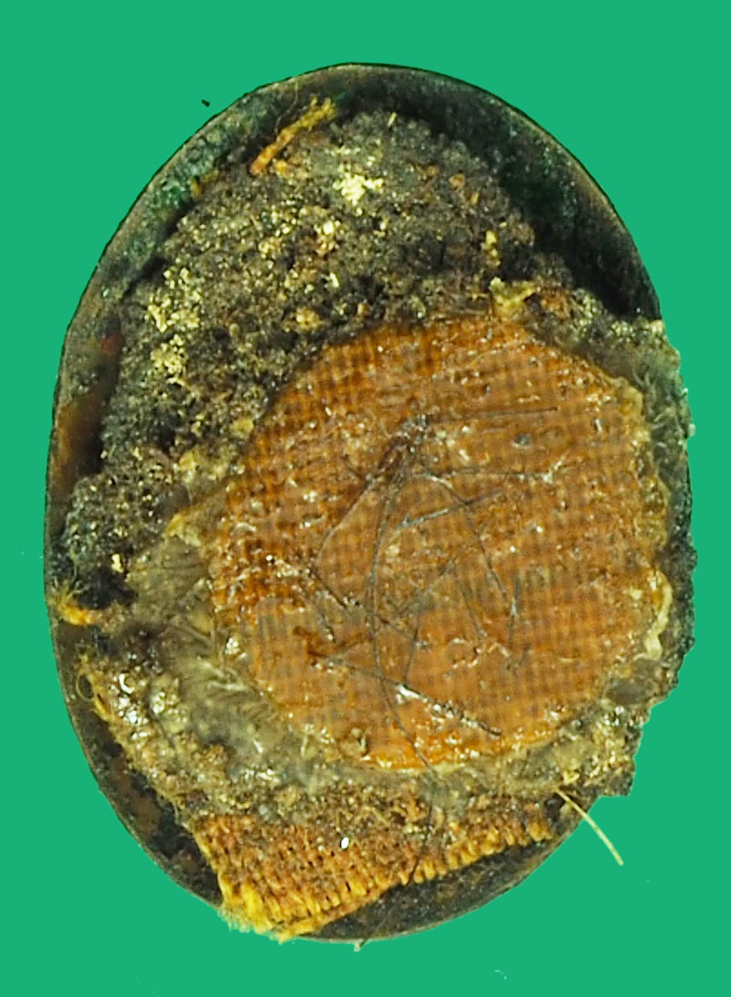 ขายแล้ว*37638 ล็อกเก็ตหลวงปู่เจียม อายุ 96 ปี วัดอินทราสุภาราม สุรินทร์ กล่องเดิม 86