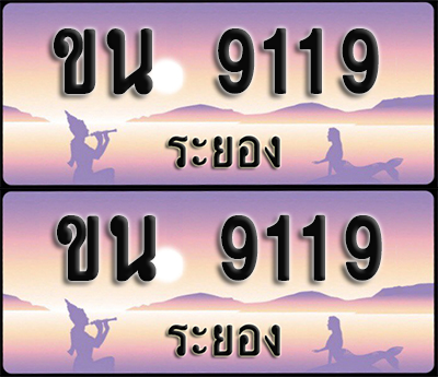 ทะเบียนรถ 9119 – ขน 9119 ระยอง (1)