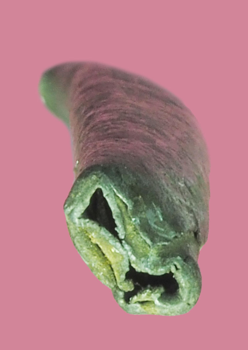 *38594 ตะกรุดตะกั่วทุบ เก่าพอมีอายุ ไม่ทราบที่และปีสร้าง 12