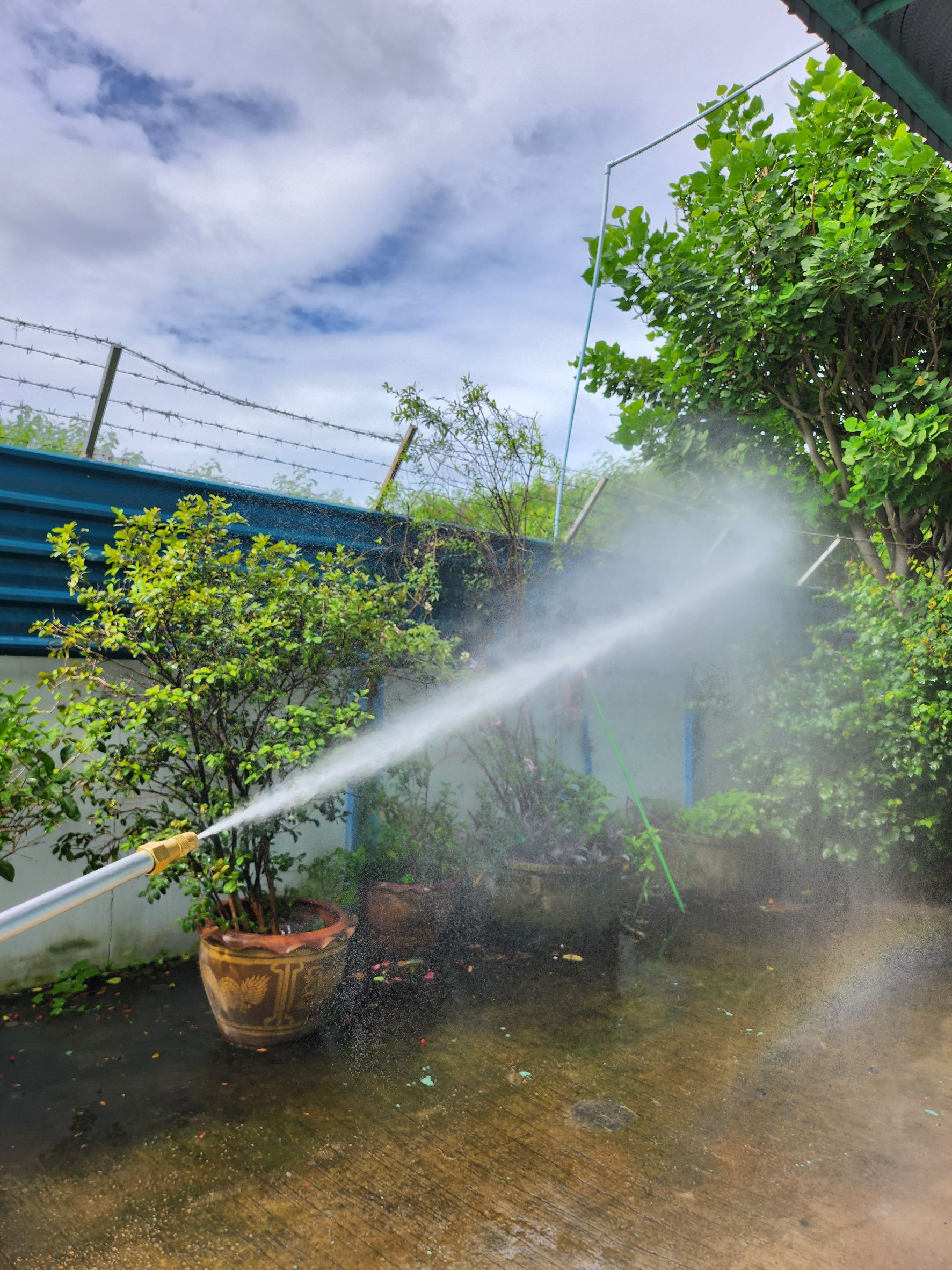 ก้านซิ่ง 1 หัว ยาว 120 เซนติเมตร