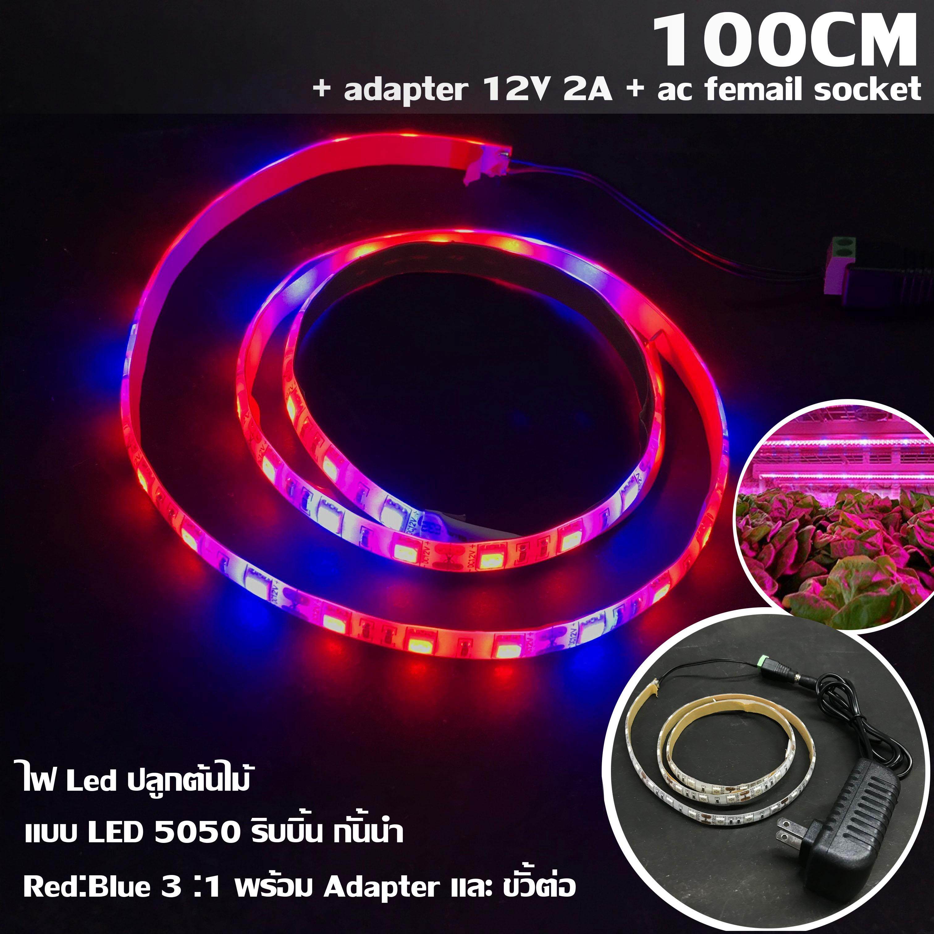MJ-tech ไฟ Led ปลูกต้นไม้ แบบ LED 5050 ริบบิ้น กันน้ำ ยาว 100 cm สัดส่วน Red:Blue 3 :1 พร้อม Adapter และ ขั้วต่อ