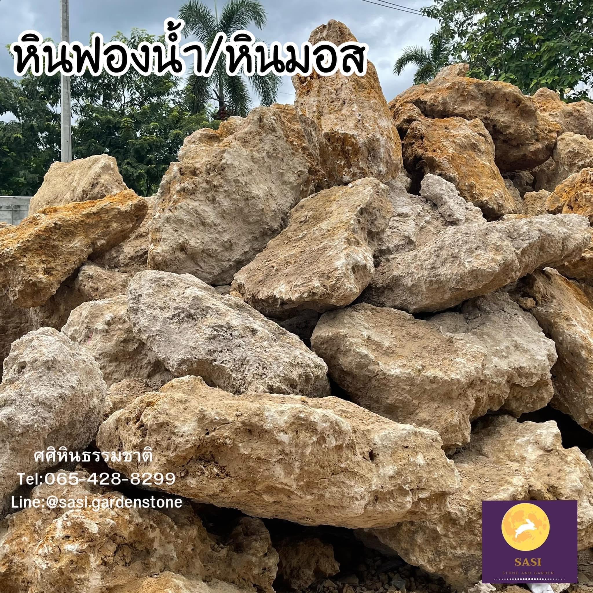 หินฟองน้ำ