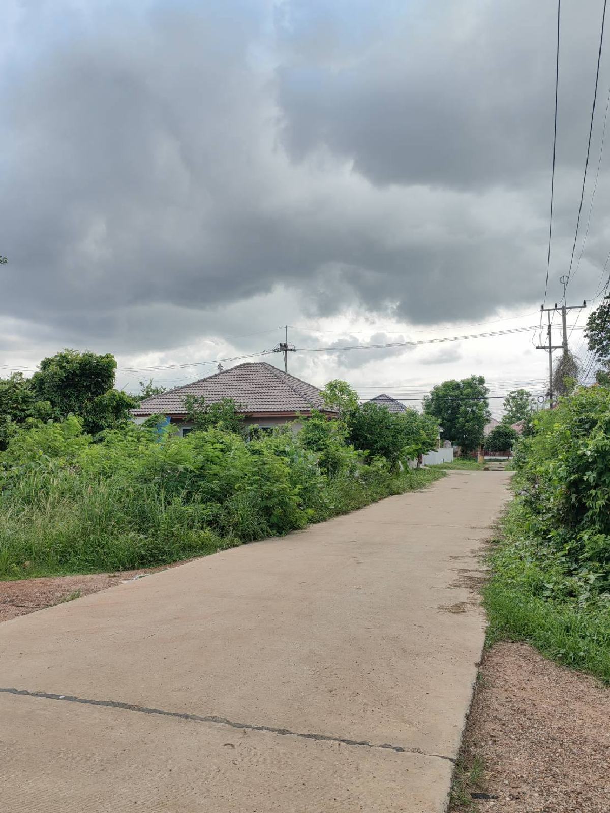 ขายที่ดิน 51 ตร.วา แปลงยาว ฉะเชิงเทรา | ใกล้ตลาดบางบ่อ–เซเว่นเกาะบรเพชร | เจ้าของขายเอง