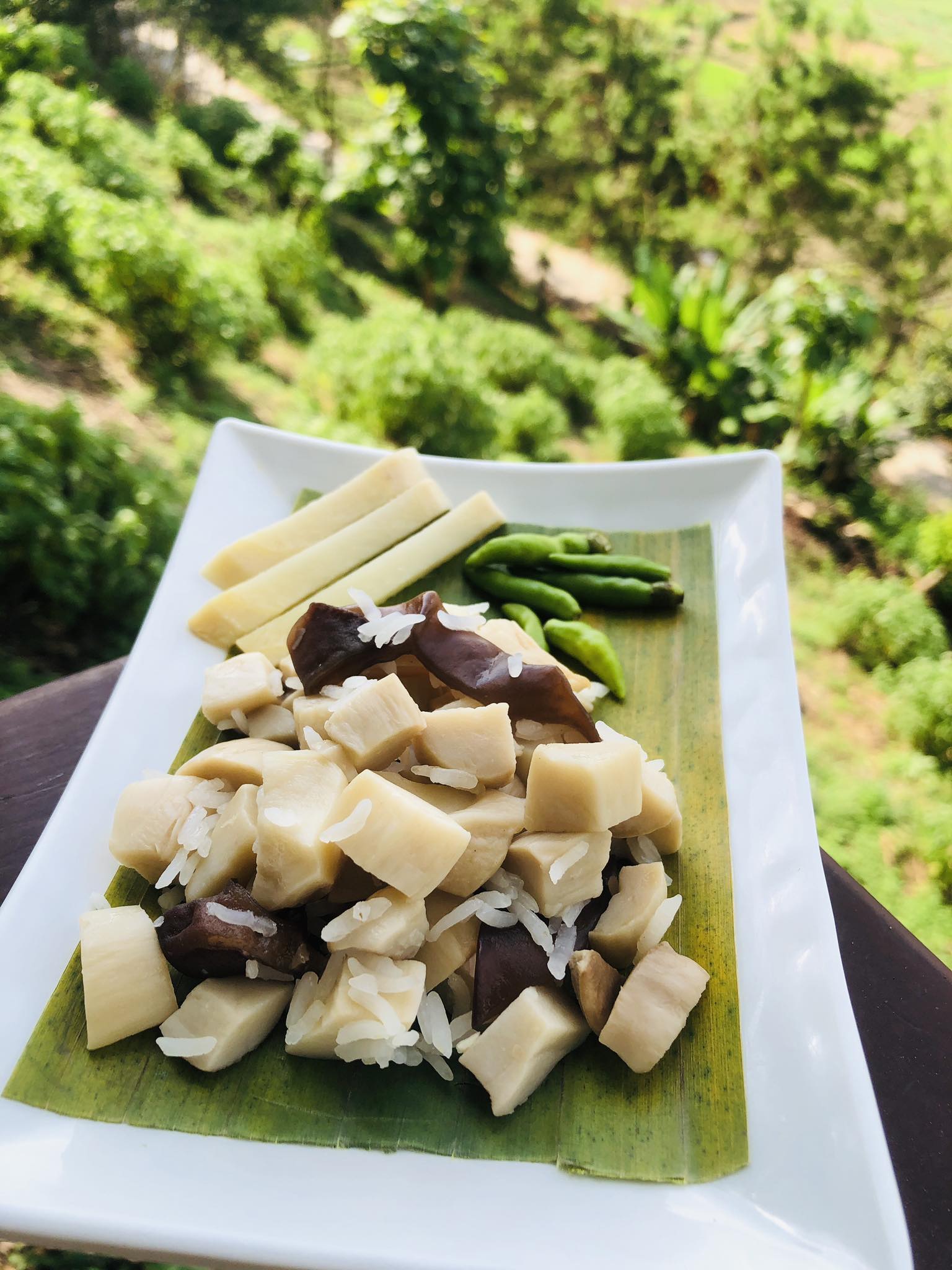 แหนมเห็ดออรินจิ มีแบบเจ และแบบไม่เจ ห่อละ 100 กรัม #ฟาร์มเห็ดบ้านหัวน้ำ