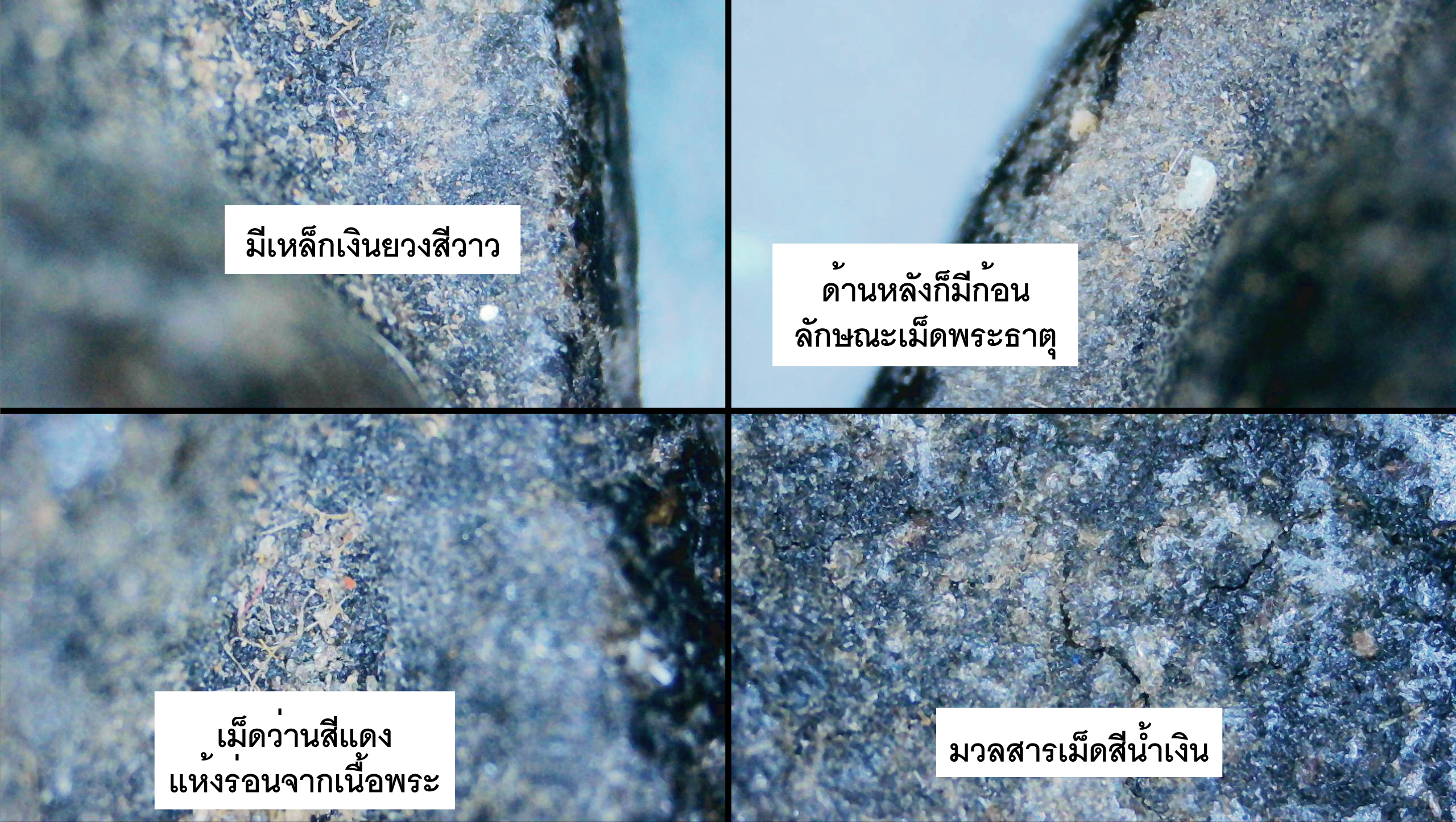 พระเนื้อว่านหลวงพ่อวัดทุ่งคา หลังยันต์ ปี 2505