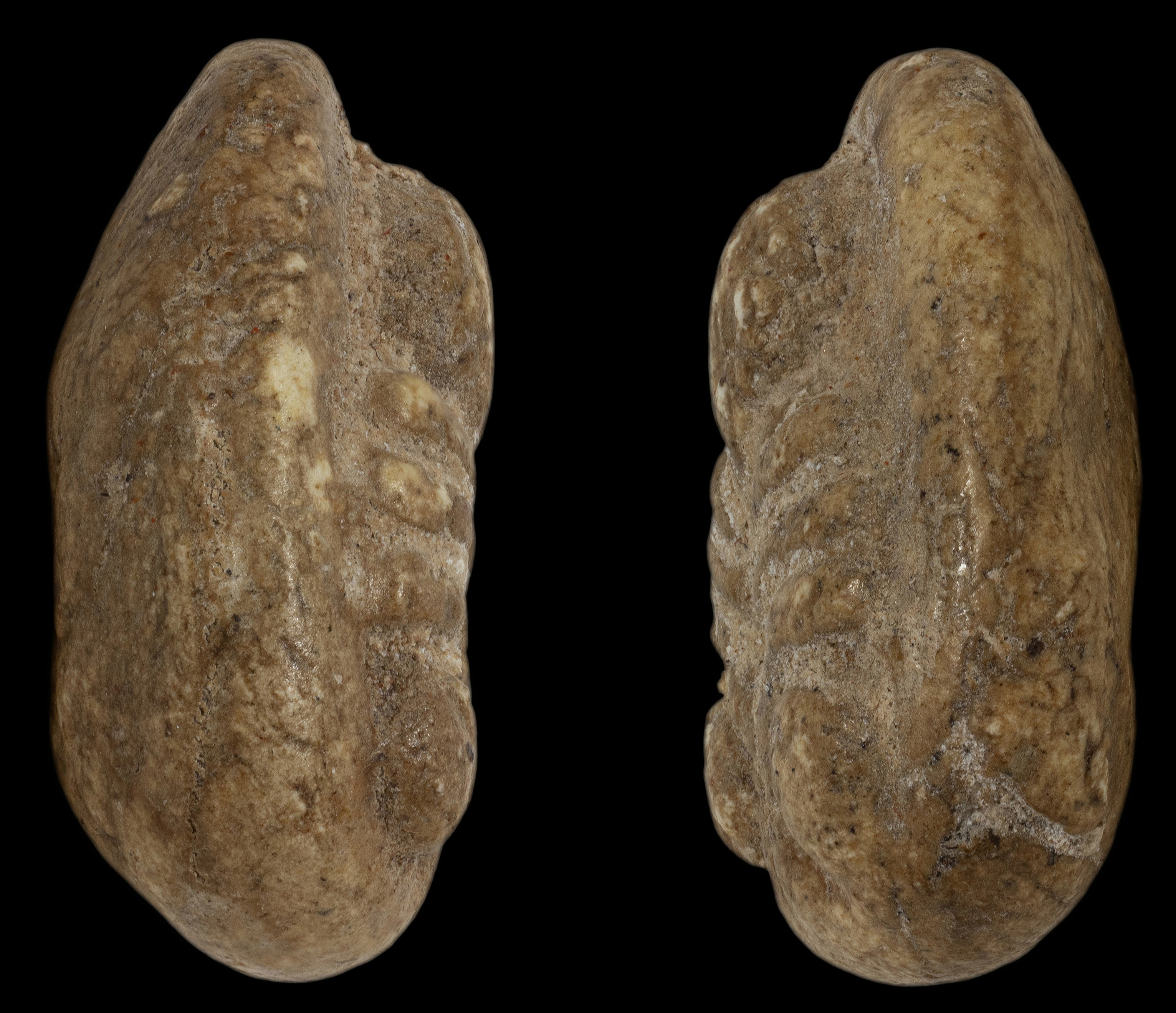 พระปิดตาพิมพ์จั๊กจั่น กรุวัดอัมพวา