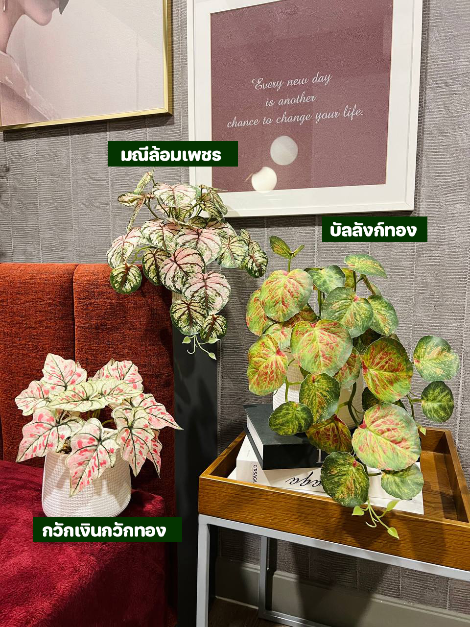 ต้นไม้ปลอม ชุด 3 กระถาง บัลลังก์ทองปลอม มณีล้อมเพชรปลอม กวักเงินกวักทองปลอม