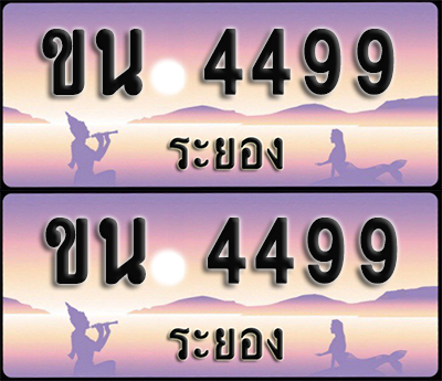 ทะเบียนรถ 4499 – ขน 4499 ระยอง (1)