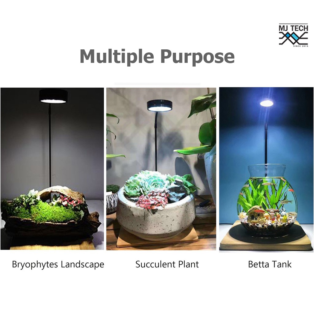 ไฟวาบิ LED พร้อมฐานไม้ (ไฟเลี้ยงตู้ปลา / แคคตัส / มาริโมะ / Wabu-Kusa / ไม้กึ่งบก / Terrarium / ตู้ไม้น้ำ)