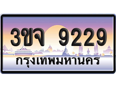 ทะเบียน 9229 เลขรถ – 3ขจ 9229 ป้ายประมูล (6)