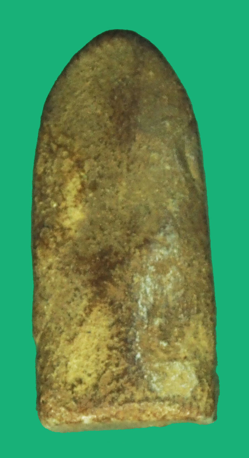 *37766 พระรอดมหาวัน เก่า ไม่ทราบที่และปีสร้าง เนื้อเขียวมอย 9.1