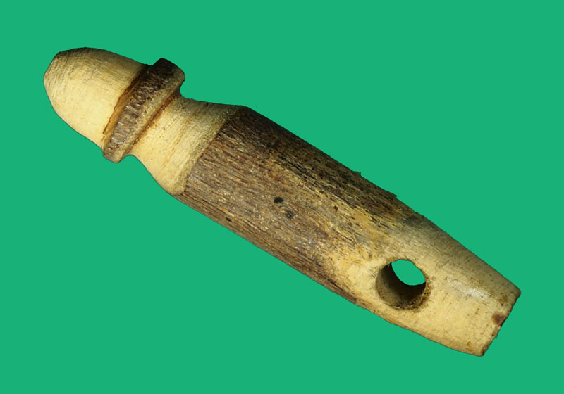 *35861 ปลัดขลิกไม้เขยตาย หลวงปู่เมฆ วัดลำกระดาน กรุงเทพ 12