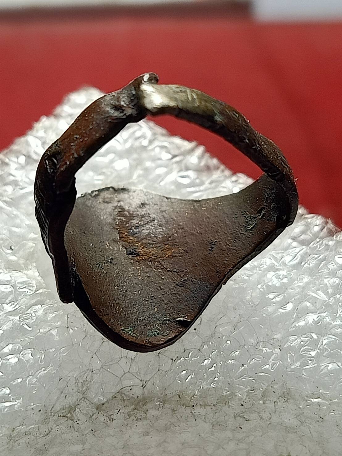 เหรียญหลังเต่า หลวงพ่อปาน วัดบางเหี้ย จ.สมุทรปราการ (SKU-12710)