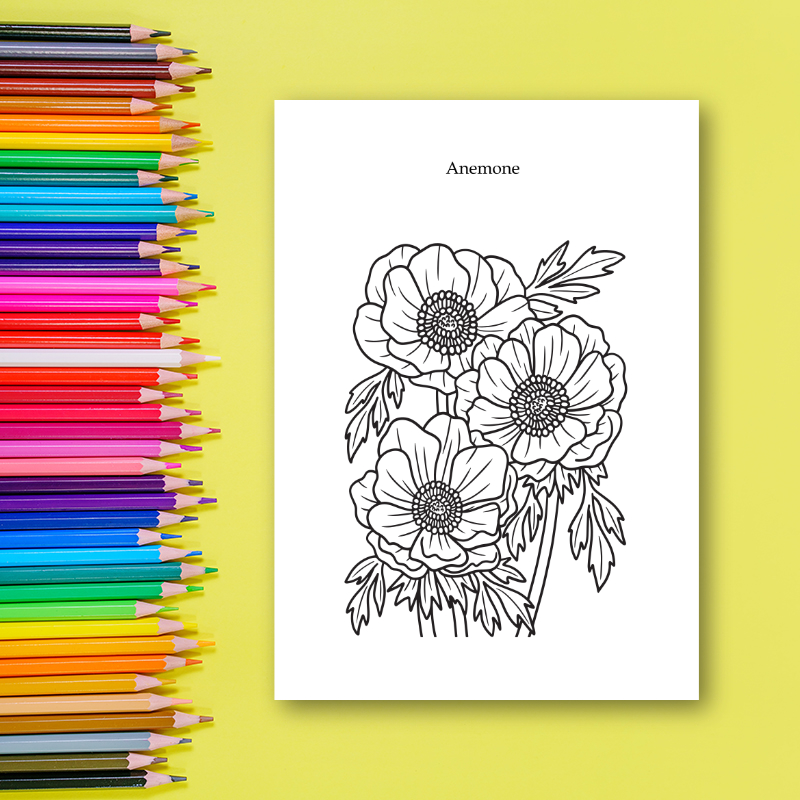สมุดระบายสีดอกไม้ Relaxing Flowers Coloring Book