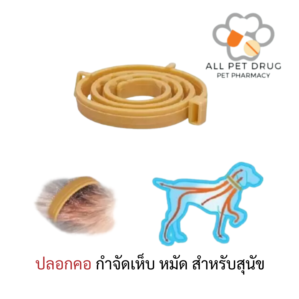 Bayer Kiltix for medium dog ปลอกคอป้องกันเห็บหมัดสำหรับสุนัขขนาดกลาง Exp.28/10/2024