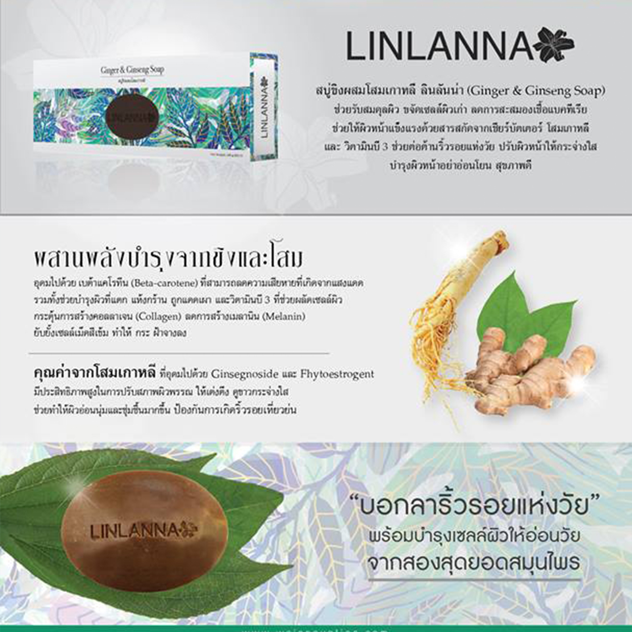 LINLANNA สบู่ขิงโสมเกาหลี บำรุงผิวกายพร้อมย้อนวัยให้ผิวพรรณ