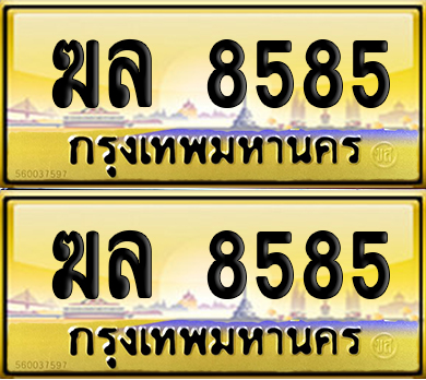 เลขทะเบียน 8585 – ฆล 8585 (6)