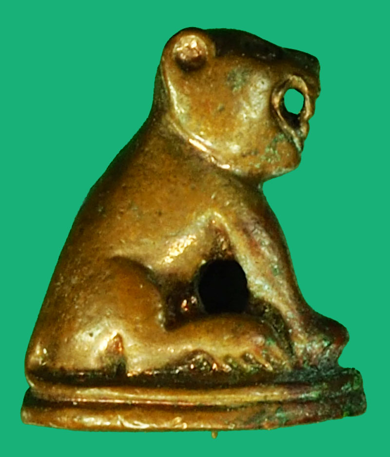 36351 เสือไม่ทราบที่และปีสร้าง เป็นเกจิอารย์ไม่เก่ามาก 12