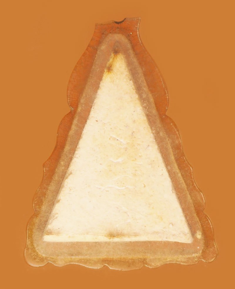 *38496 พระนางพญา พิมพ์ขาโต๊ะ เลี่ยมพลาสติกเก่าวินเทจ หลายสิบปี ไม่ทราบที่และปีสร้าง 3